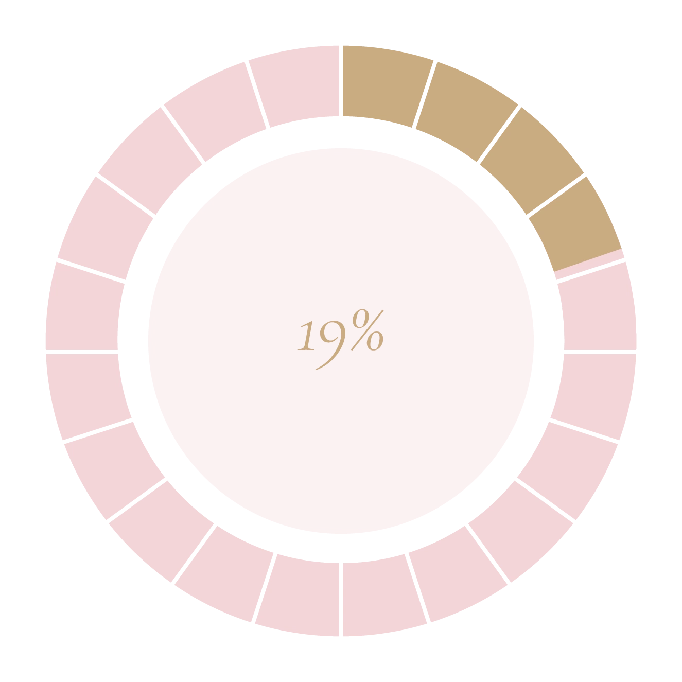 Selfless Love Foundation Fundraising Budget Selfless Love Foundation Fundraising Budget