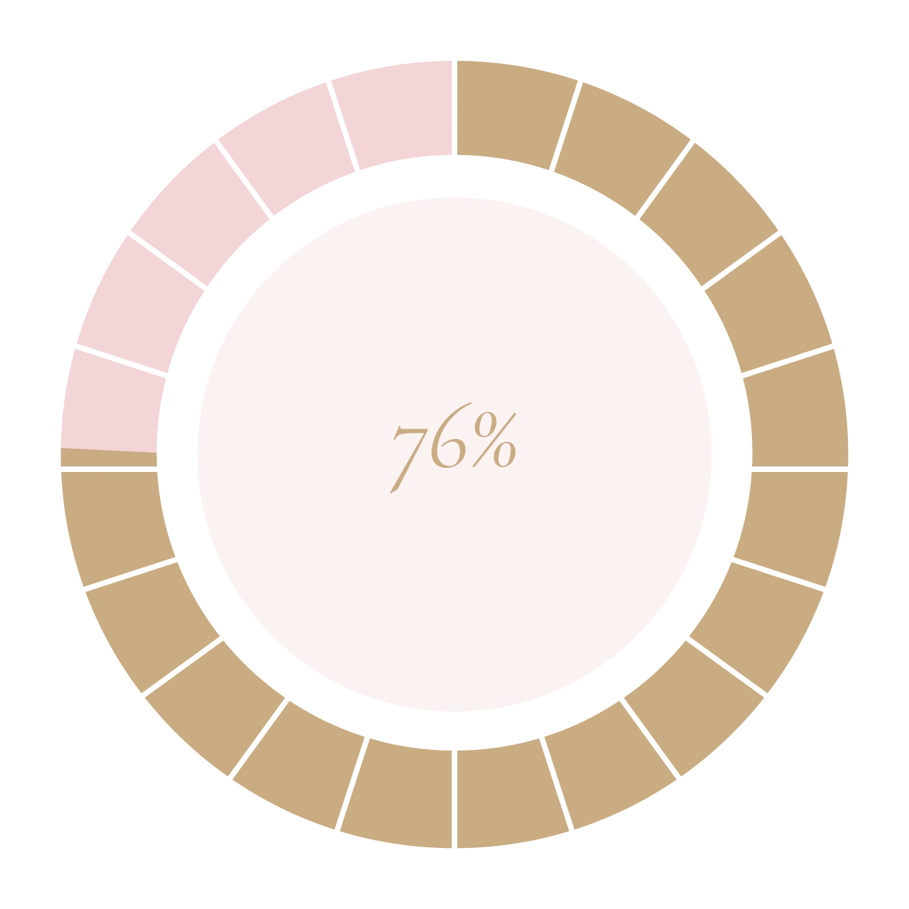 Selfless Love Foundation Programs Budget (1) Selfless Love Foundation Programs Budget (1)