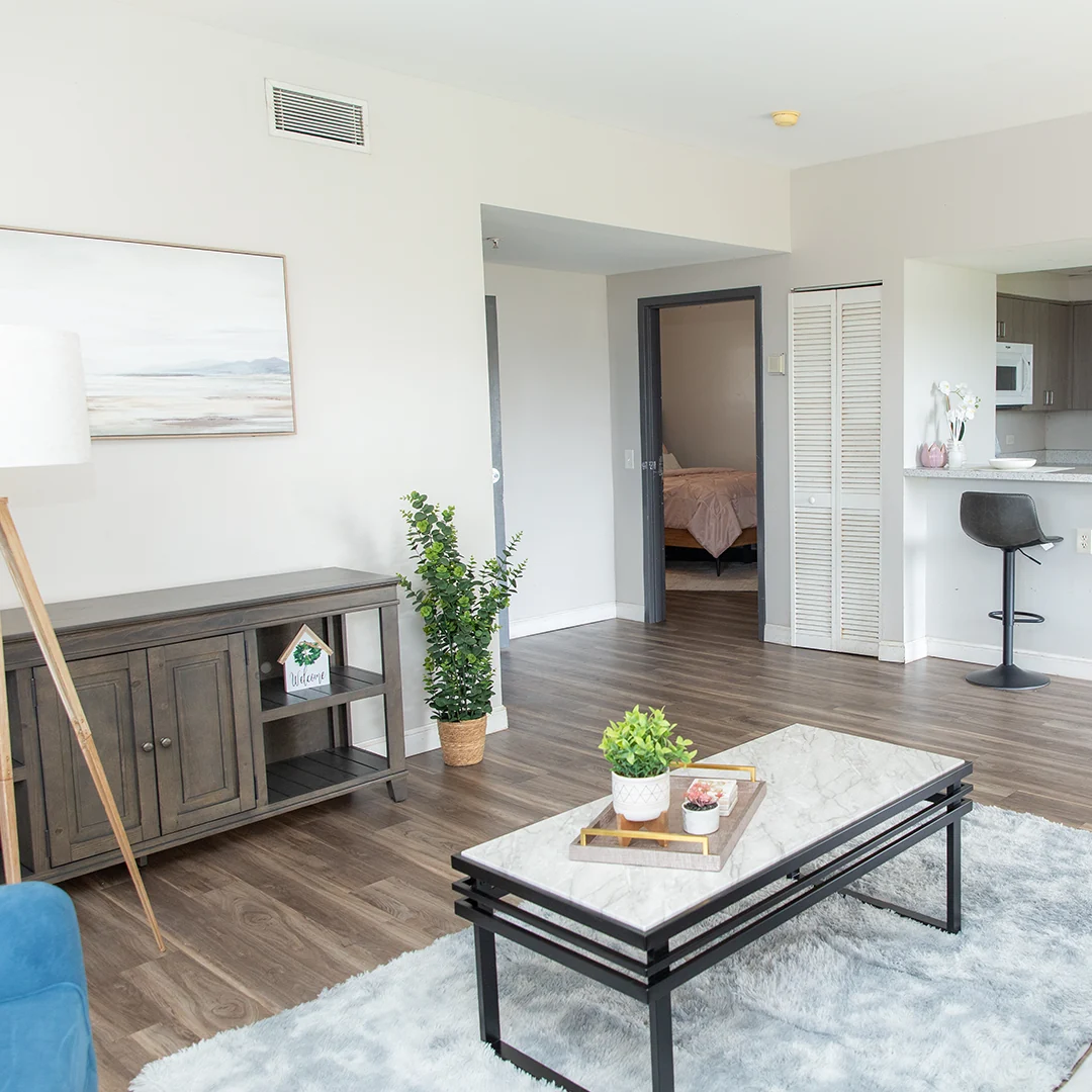 Whole Apartment